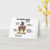 Harris Hawk Cartoon Card Karte (Gelbe Blume)