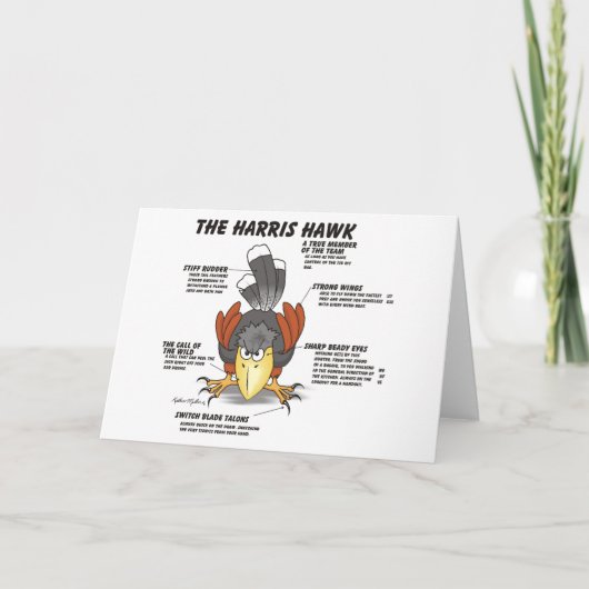 Harris Hawk Cartoon Card Karte (Vorderseite)