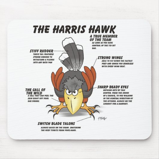 Harris Hawk Cartoon Mousepad (Vorne)