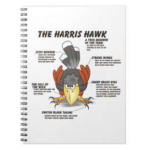 Harris Hawk Cartoon Notizblock