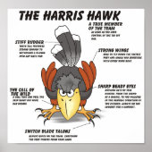 Harris Hawk Cartoon Poster (Vorne)