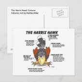 Harris Hawk Cartoon Postkarte (Vorne/Hinten)