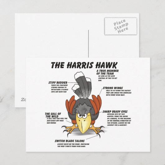 Harris Hawk Cartoon Postkarte (Vorne/Hinten)