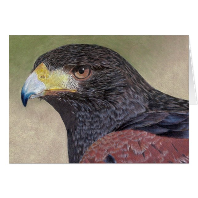 Harris Hawk-cp (Vorderseite (Horizontal))
