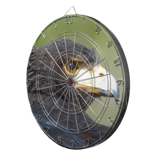 Harris Hawk Dartscheibe (Vorderseite rechts)