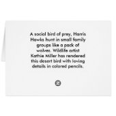 Harris Hawk farbige Stifte (Rückseite Horizontal)