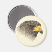 Harris Hawk - gemischte Mittel Magnet (Vorderseite/Rückseite)