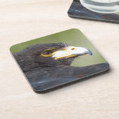 Harris Hawk Getränkeuntersetzer (Linke Seite)