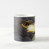 Harris Hawk Kaffeetasse (Mittel)