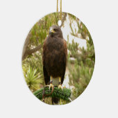 Harris Hawk Keramik Ornament (Rechts)