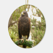 Harris Hawk Keramik Ornament (Links)