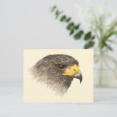 Harris Hawk - Mixed Medium Postkarte (Stehend Vorderseite)