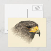 Harris Hawk - Mixed Medium Postkarte (Vorne/Hinten)
