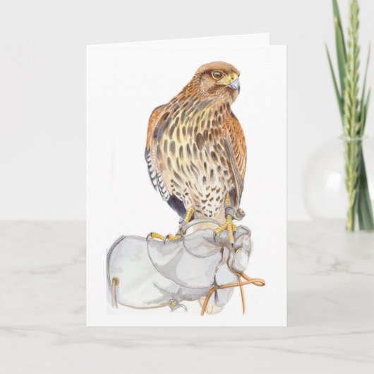 Harris Hawk on Glove birthday Card Karte (Vorderseite)