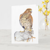 Harris Hawk on Glove birthday Card Karte (Gelbe Blume)