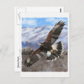 Harris Hawk-pastel Postkarte (Vorne/Hinten)