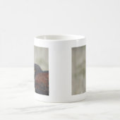 Harris Hawk Portrait Kaffeetasse (Mittel)