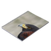 Harris Hawk Portrait Notizblock (Linke Seite)