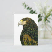Harris Hawk Postcard Postkarte (Stehend Vorderseite)