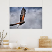 Harris Hawk Poster (Küche)