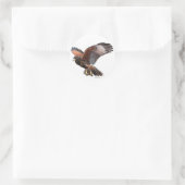 Harris Hawk Runder Aufkleber (Tasche)