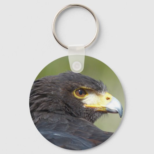 Harris Hawk Schlüsselanhänger (Vorderseite)