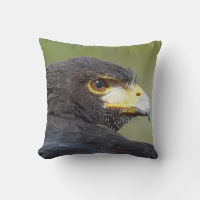Harris Hawk Throw Pillow Kissen (Vorderseite)