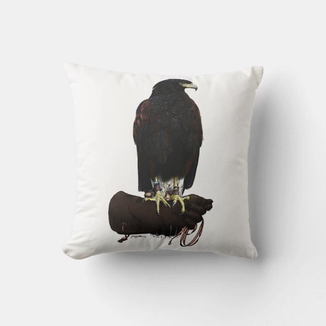Harris Hawk über Glove Kissen (Vorderseite)