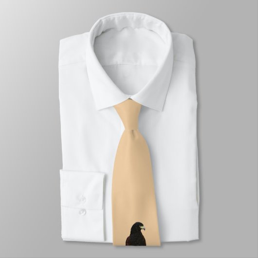 Harris Hawk über Glove Krawatte (Gebunden)