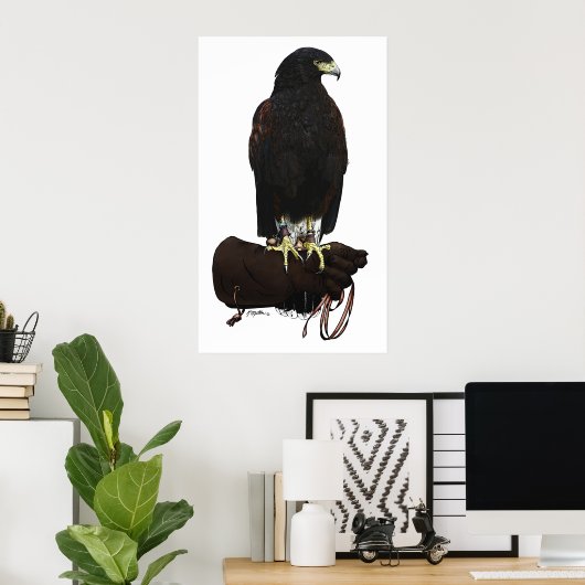 Harris Hawk über Glove Poster (Heimbüro)