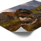 Harris Hawk und Jackrabbit Poster (Ecke)
