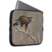 Harris-Hawk-Vergewaltiger Laptopschutzhülle (Vorne Rechts)
