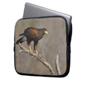Harris-Hawk-Vergewaltiger Laptopschutzhülle (Vorderseite Links)