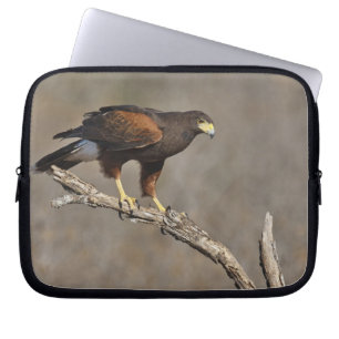 Harris-Hawk-Vergewaltiger Laptopschutzhülle