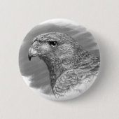 Harris Hawk Zeichnend Button (Vorderseite)
