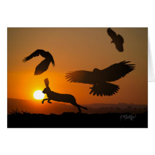 Harris Hawks Jagdkarte