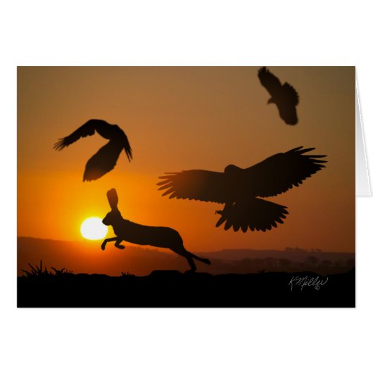 Harris Hawks Jagdkarte (Vorderseite (Horizontal))
