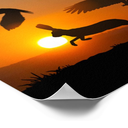 Harris Hawks Junting Poster (Ecke)