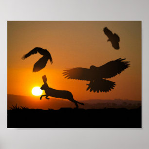 Harris Hawks Junting Poster