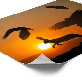 Harris Hawks Poster (Ecke)