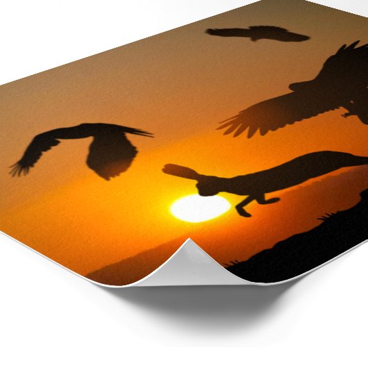 Harris Hawks Poster (Ecke)