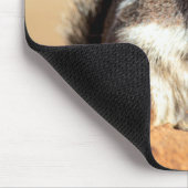 Harris’s antelope squirrel (Ammospermophilus) Mousepad (Ecke)