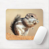 Harris’s antelope squirrel (Ammospermophilus) Mousepad (Mit Mouse)