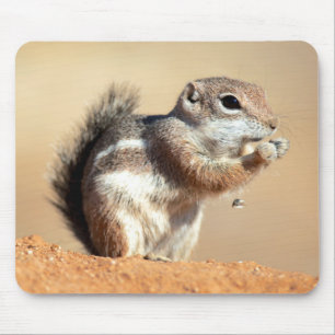 Harris’s antelope squirrel (Ammospermophilus) Mousepad