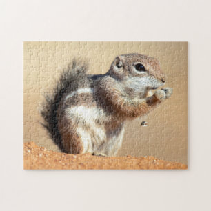 Harris’s antelope squirrel (Ammospermophilus) Puzzle