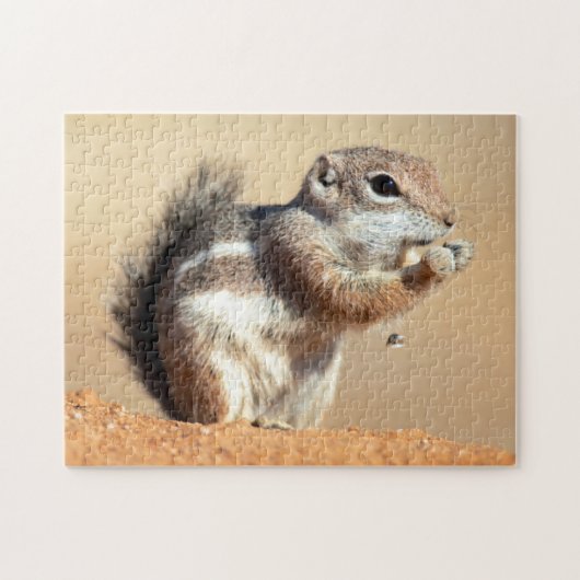 Harris’s antelope squirrel (Ammospermophilus) Puzzle (Horizontal)