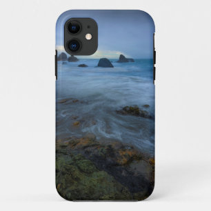 Harris-Strand-Staats-Park   Oregon iPhone 11 Hülle