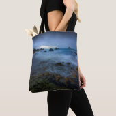 Harris-Strand-Staats-Park | Oregon Tasche (Von Nahem)
