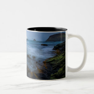 Harris-Strand-Staats-Park   Oregon Zweifarbige Tasse