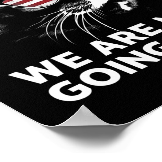 Harris Waltz Wir gehen nicht zurück Kamala Harris Poster (Ecke)